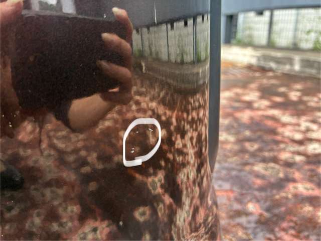 複数画像55