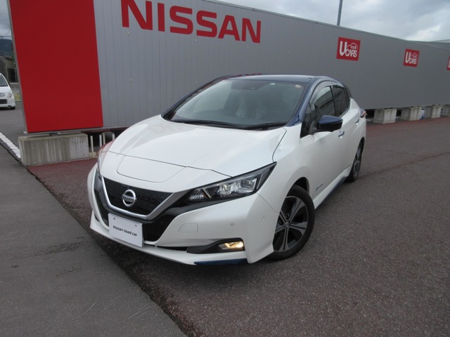 長野日産自動車株式会社 中野店 長野県 リーフ 日産の在庫詳細から中古車を探す 日産公式中古車検索サイト