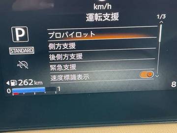 複数画像11
