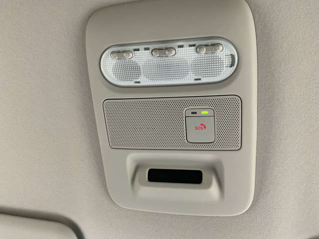 複数画像19