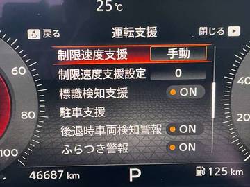 複数画像11