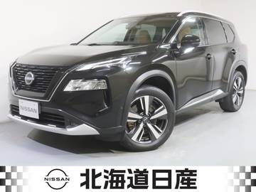 1.5 G e-4ORCE 4WD ナッパレザーシート