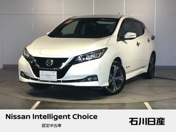 リーフ e+ G ワンオーナー　62Kwh　12セグメント