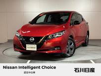 日産 リーフ e+ アーバンクロム ワンオーナー　62Kwh　12セグメント