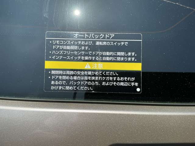 複数画像30