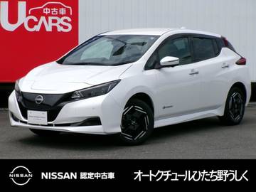 e+ X プロパイロット EV専用NissanConnectナビ