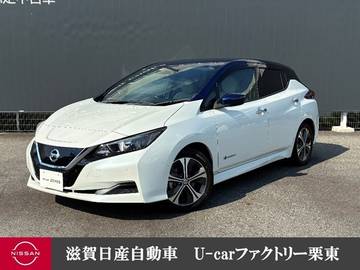 X 寒冷地仕様　プロパイロット
