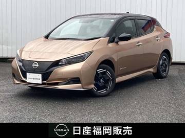 e+ X 60Kwh・プロパイロット・全方向カメラ