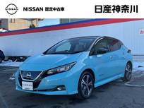 日産 リーフ G ドライブレコーダー・プロパイロット