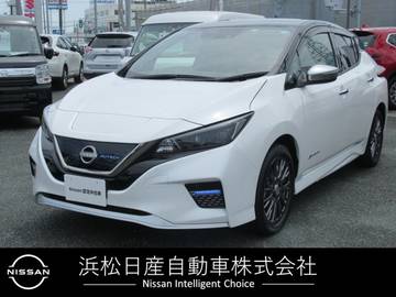 e+ AUTECH 60kwh　寒冷地仕様