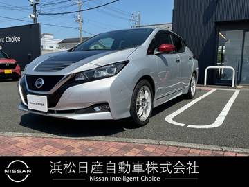 G 40kwh  プロパイロット