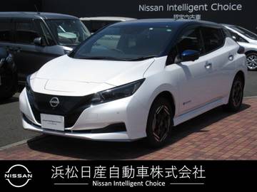 e+ X 60kwh メーカーナビ 寒冷地仕様