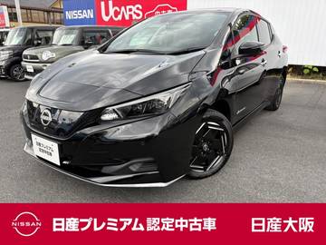 e+ X プロパイロット　EV専用9インチナビ