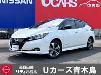 日産 リーフ e+ G メ-カ-装着ナビ・TV　プロパイロット