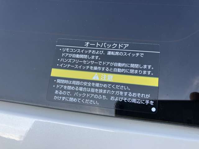 複数画像30