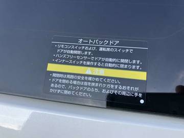 複数画像30