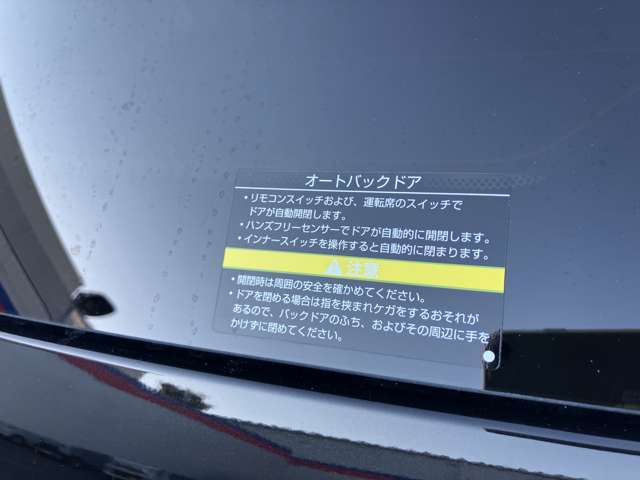 複数画像31