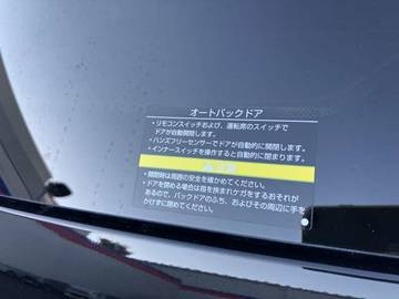 複数画像31