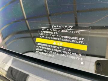 複数画像31