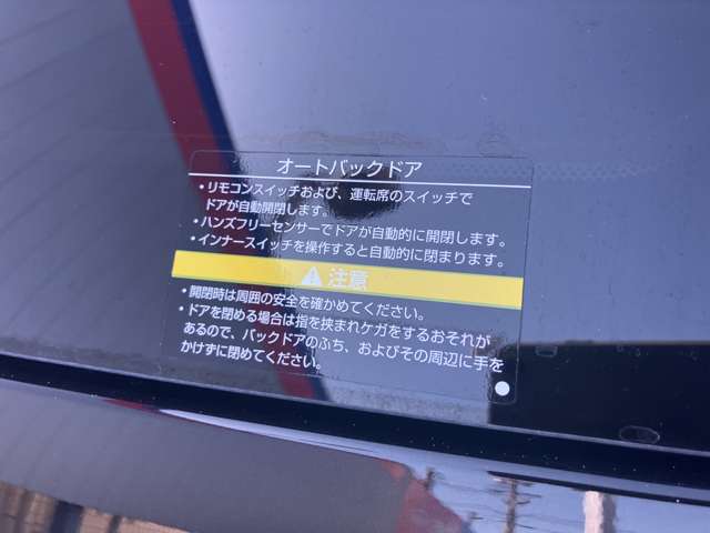 複数画像30