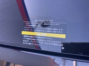 複数画像30