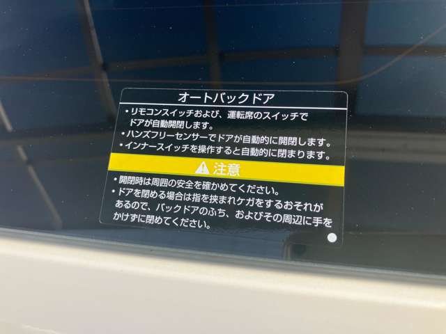 複数画像31