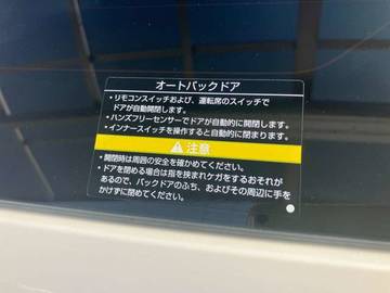 複数画像31