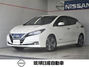 G プロパイロット エマージェンシーブレーキ