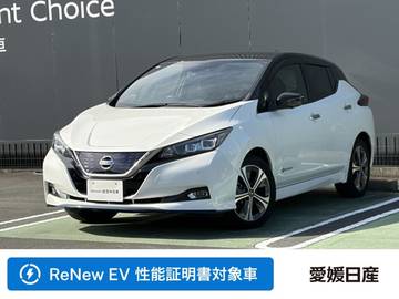 e+ G 当社社用車UP　プロパイロット