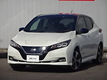 G メーカーOPナビ　フルセグTV　DVD再生