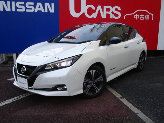 埼玉日産自動車株式会社 U Cars東大宮 埼玉県 リーフ 日産の在庫詳細から中古車を探す 日産公式中古車検索サイト