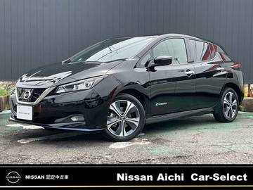 e+ G プロパイロット/BOSEサウンド/アラウンドビ