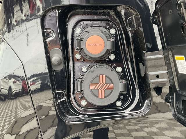 複数画像20