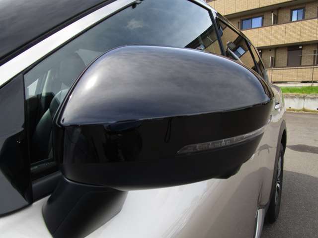 複数画像52