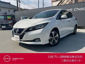 G 12セグメント・プロパイロット・アラウンド