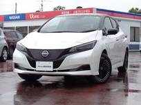 日産 リーフ X Vセレクション メモリーナビ　アラウンドビューM　LDW