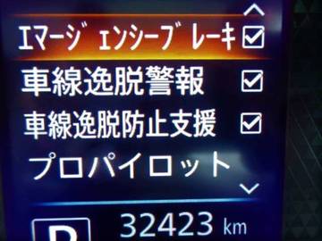 複数画像32