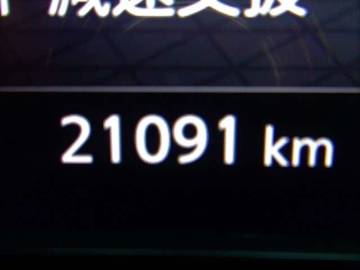 複数画像29