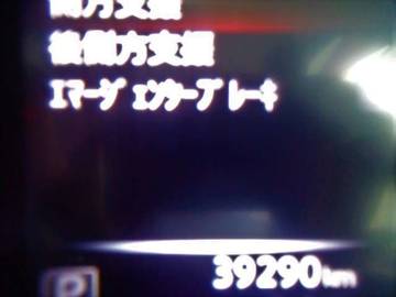 複数画像31