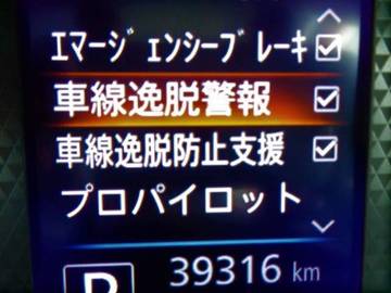 複数画像30