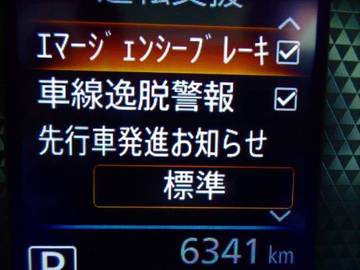複数画像29