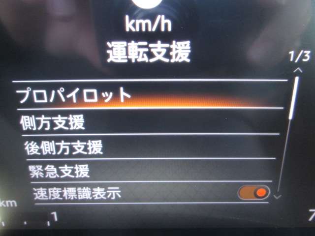 複数画像33