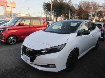 e+ G プロパイロット・BOSEスピーカー