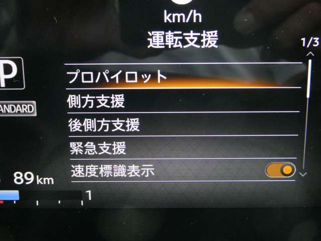 複数画像13