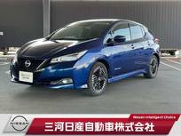日産 リーフ G メーカーナビ プロパイロット 全周囲カメラ