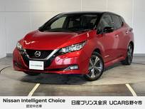 日産 リーフ e+ G 純正ナビ アラウンドビュー プロパイロット