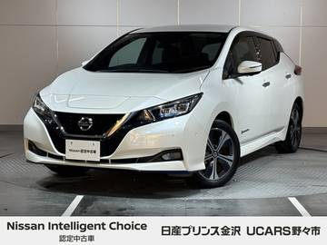 e+ G 純正ナビ プロパイロット アラウンドビュー