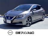 日産 リーフ X Vセレクション プロパイロット/衝突被害軽減ブレーキ/踏み