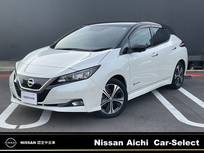 日産 リーフ G メーカーナビ　全方位カメラ