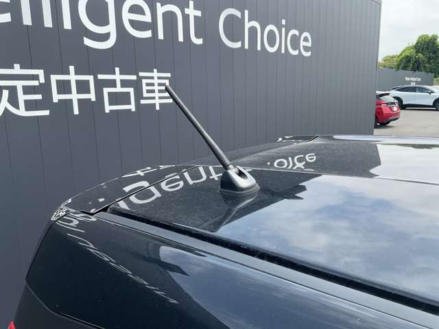 複数画像49